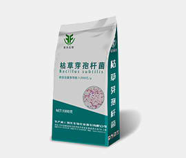 免费德州扑克游戏