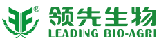 免费德州扑克游戏