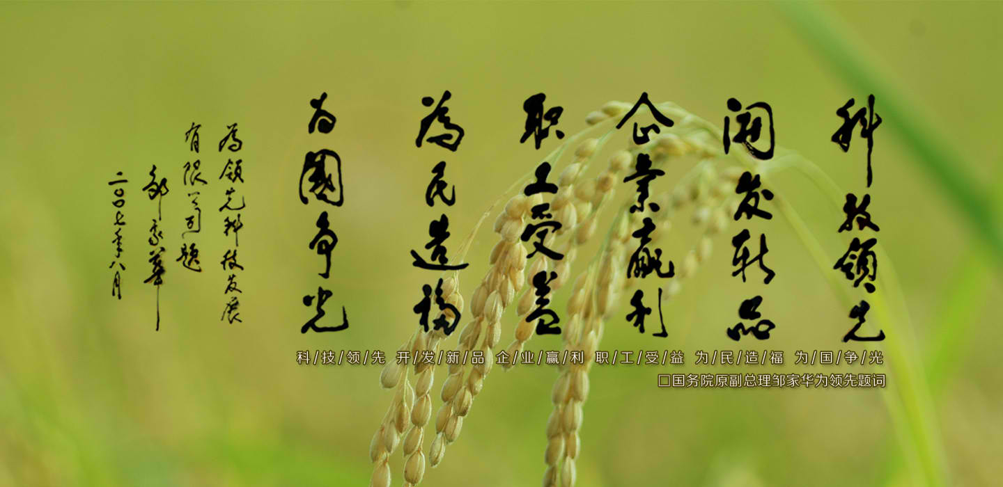 可以玩德州扑克的游戏